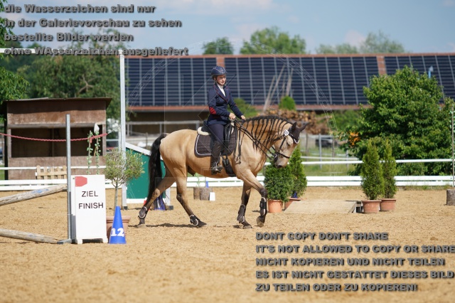 s_K3F06996.JPG